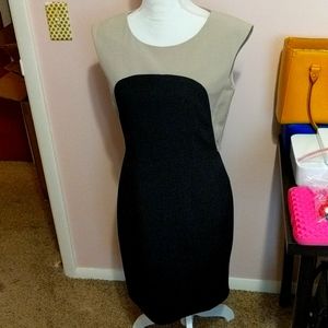 Calvin Klein Sleeveless Sheath Dress